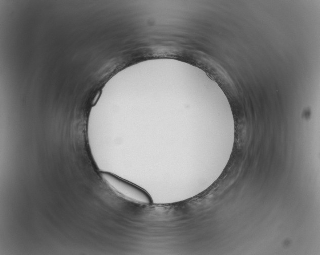 X0000116890329201001191811