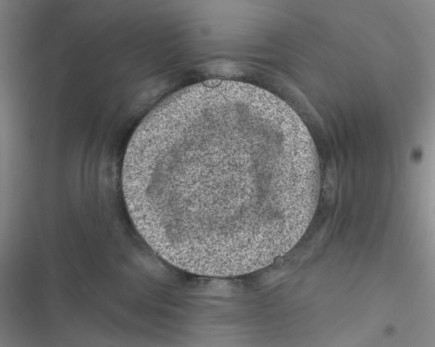 X0000116890330201001191811