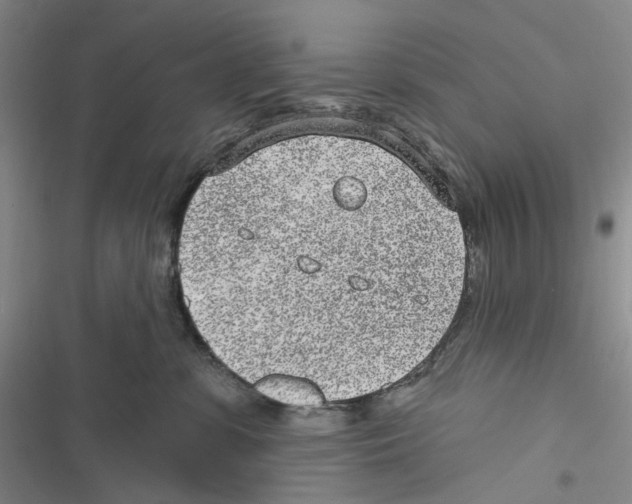 X0000116890331201001191810