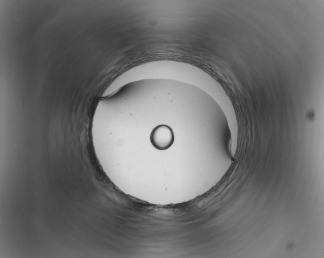 X0000116890332201001191810