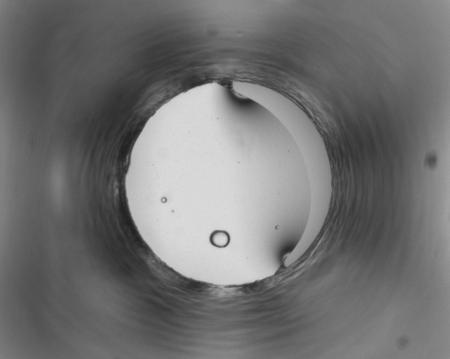 X0000116890333201001191810