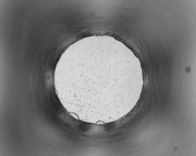 X0000116890335201001191810