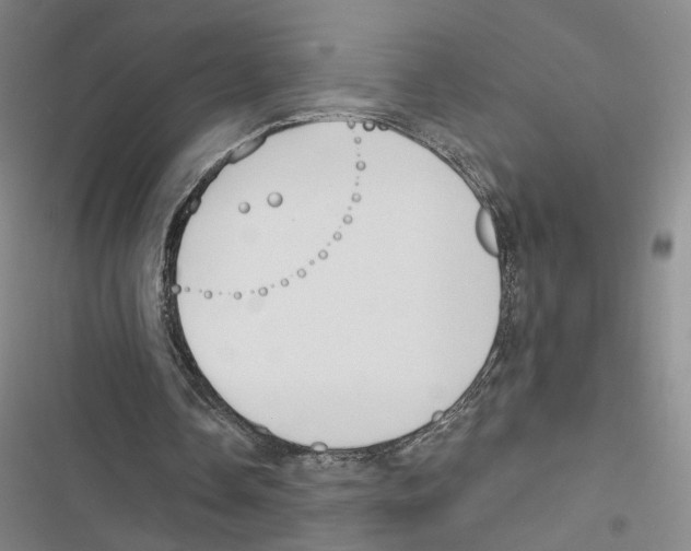 X0000116890338201001191810