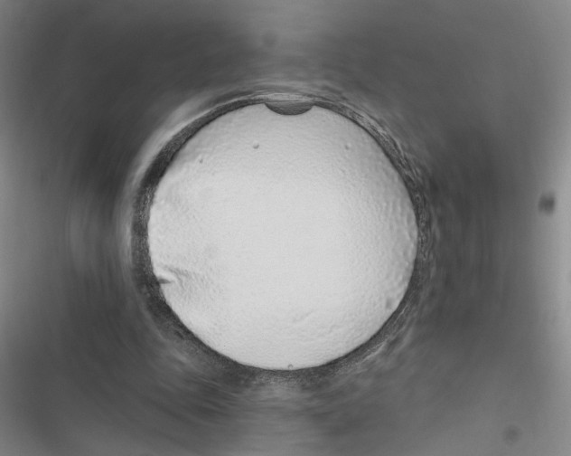 X0000116890343201001191810