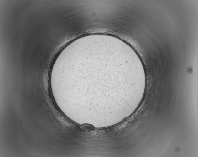 X0000116890345201001191810