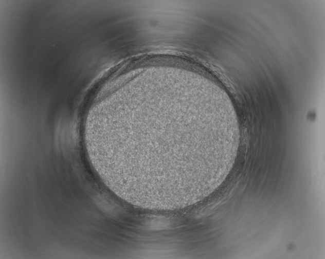 X0000116890347201001191810