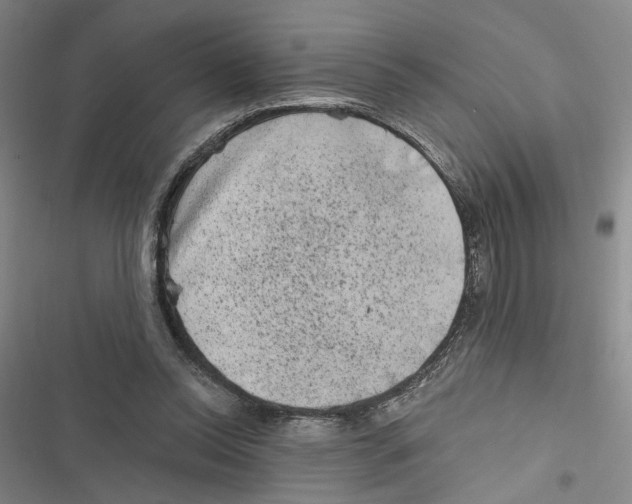 X0000116890350201001191810