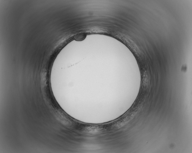 X0000116890351201001191810