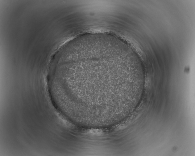 X0000116890353201001191810