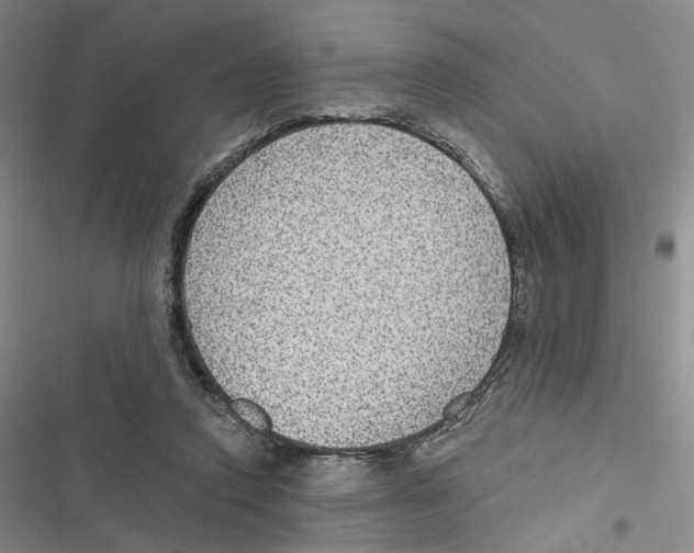 X0000116890354201001191810