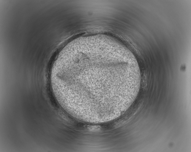 X0000116890355201001191810