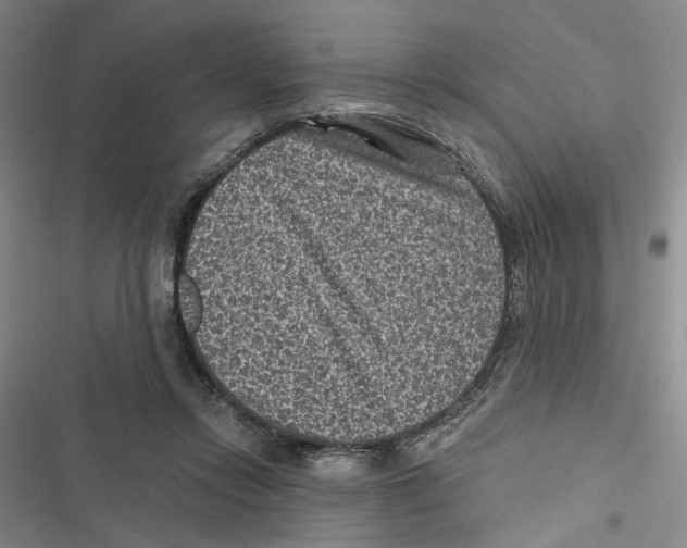 X0000116890358201001191810