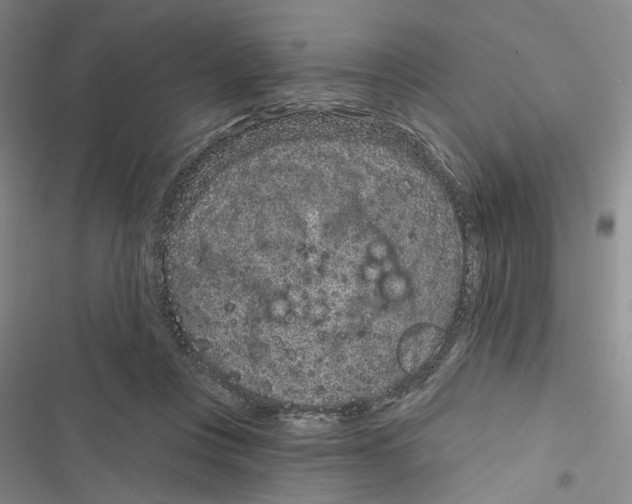 X0000116890359201001191810