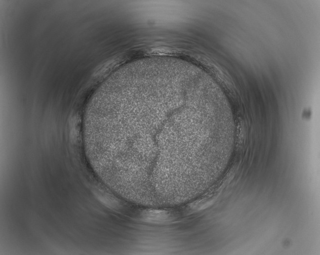 X0000116890361201001191810