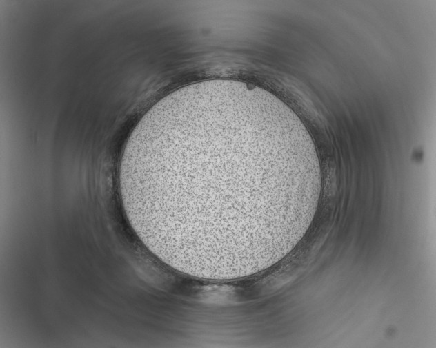 X0000116890363201001191810