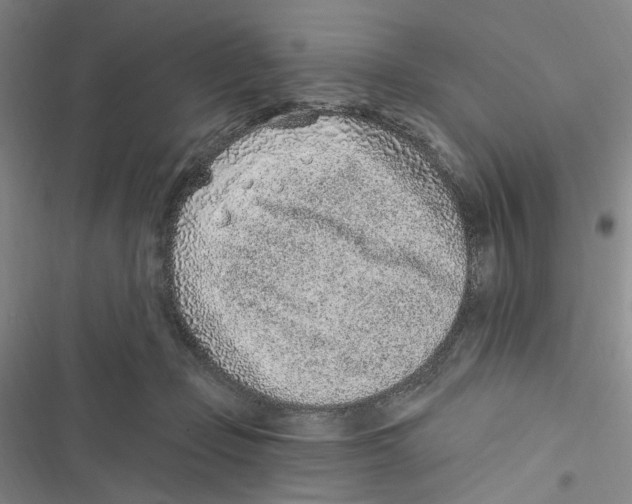 X0000116890365201001191810