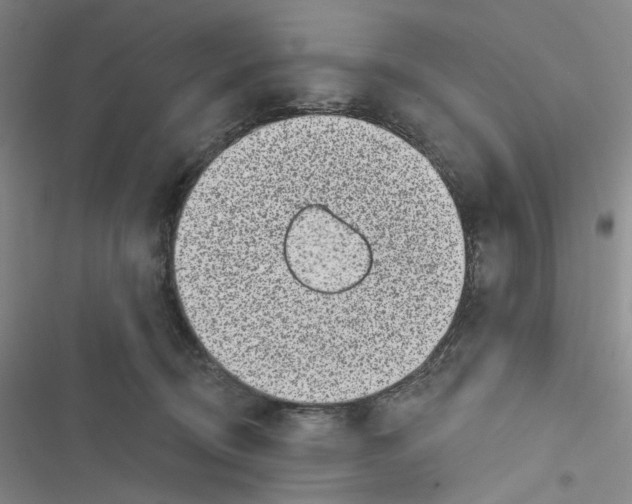 X0000116890370201001191810