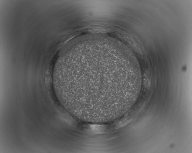 X0000116890371201001191810