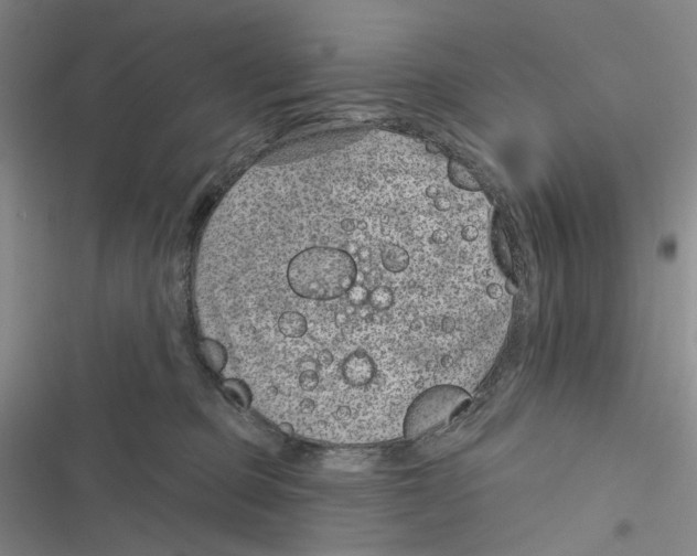 X0000116890373201001191810