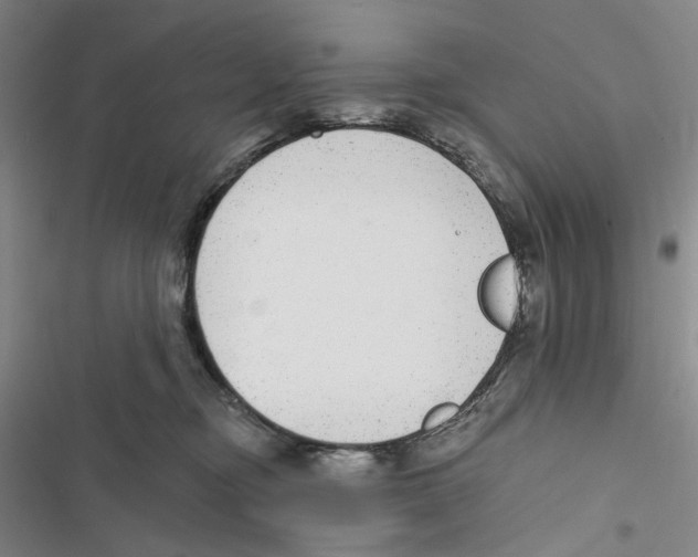 X0000116890374201001191810