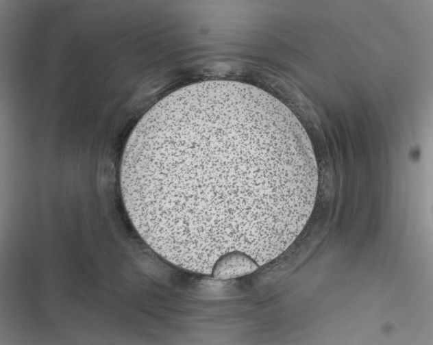 X0000116890375201001191810