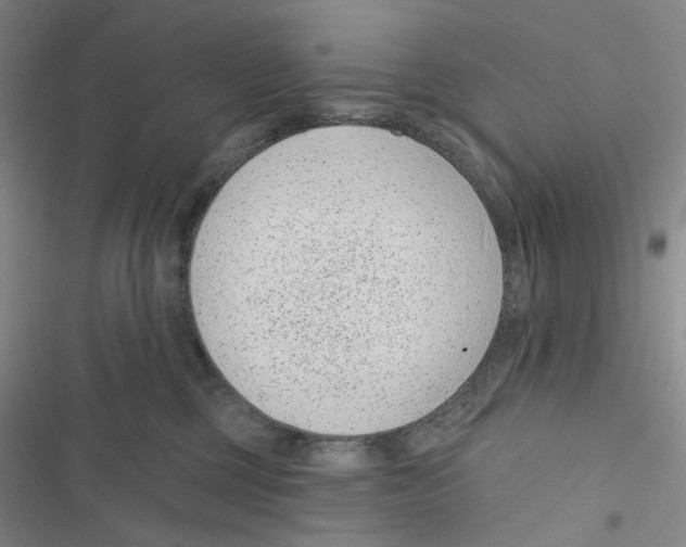 X0000116890377201001191810