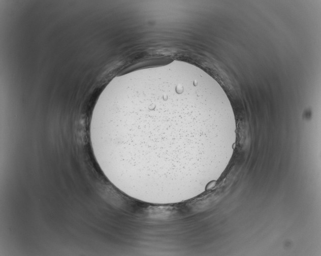 X0000116890378201001191810