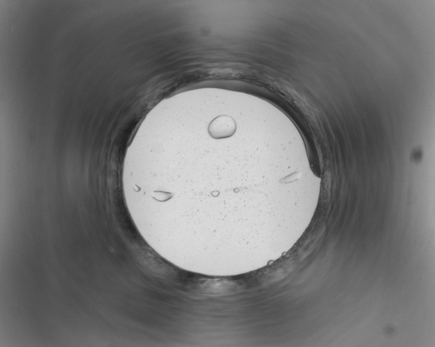 X0000116890379201001191810