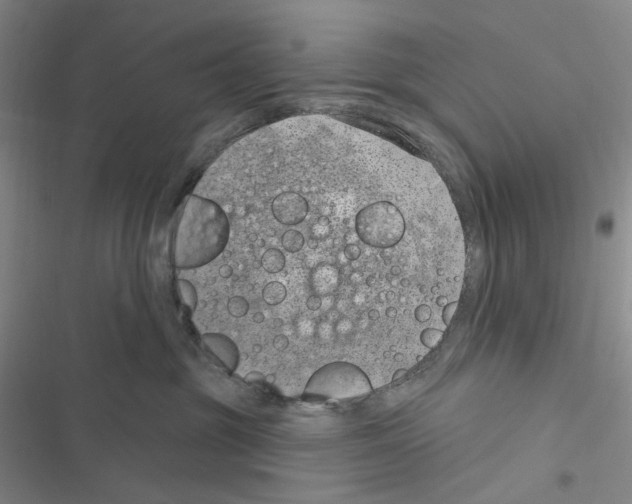 X0000116890381201001191810