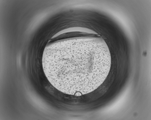 X0000116890382201001191810