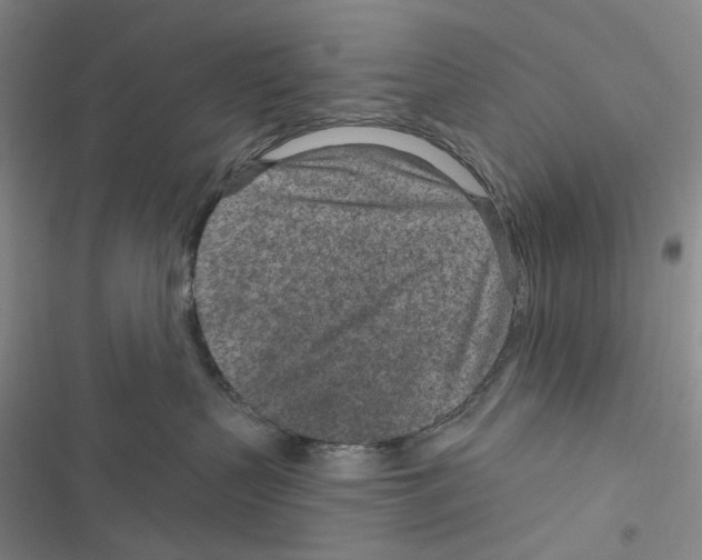 X0000116890383201001191810