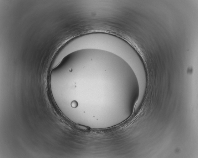 X0000116890386201001191810