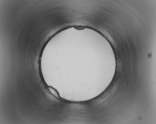 X0000116890389201001191810