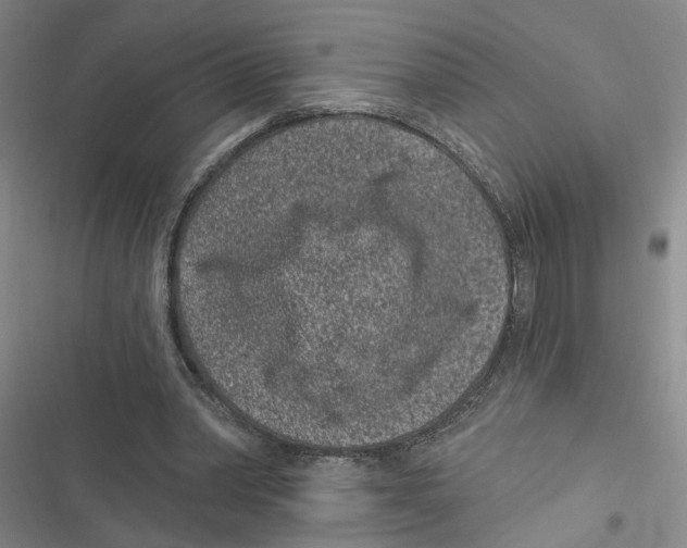 X0000116890390201001191810