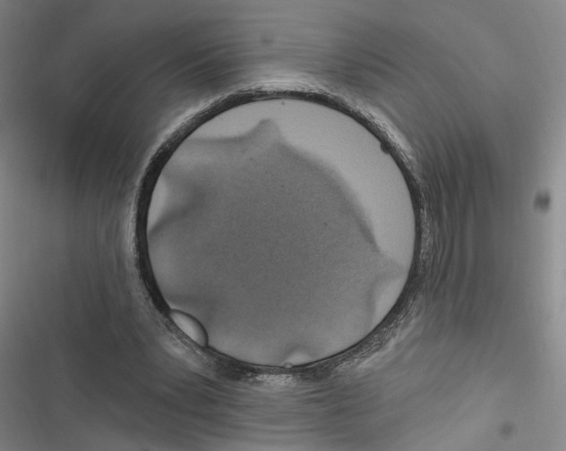 X0000116890391201001191810