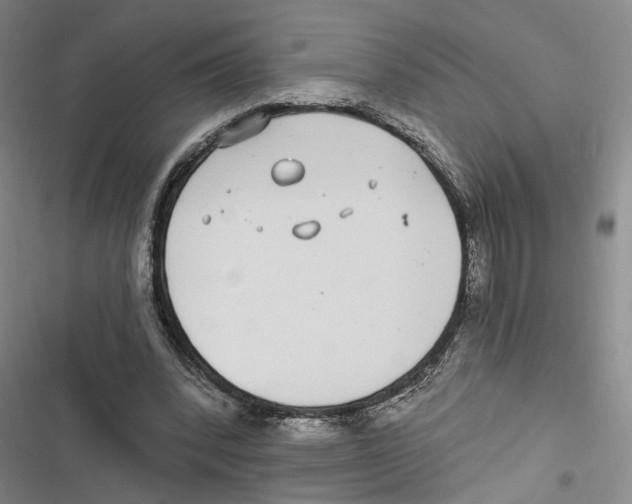 X0000116890392201001191810