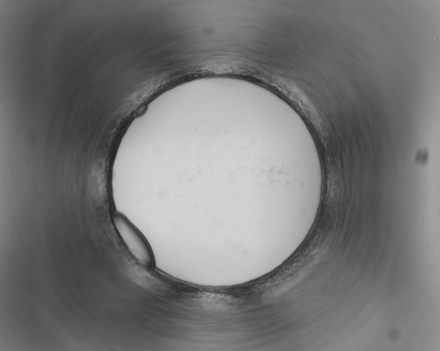 X0000116890393201001191810