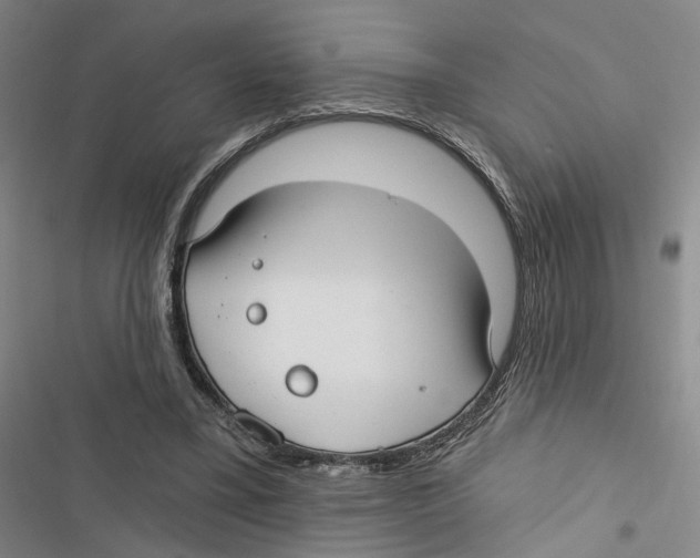 X0000116890395201001191810