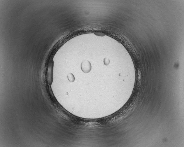 X0000116890396201001191810