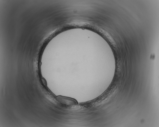 X0000116890399201001191810