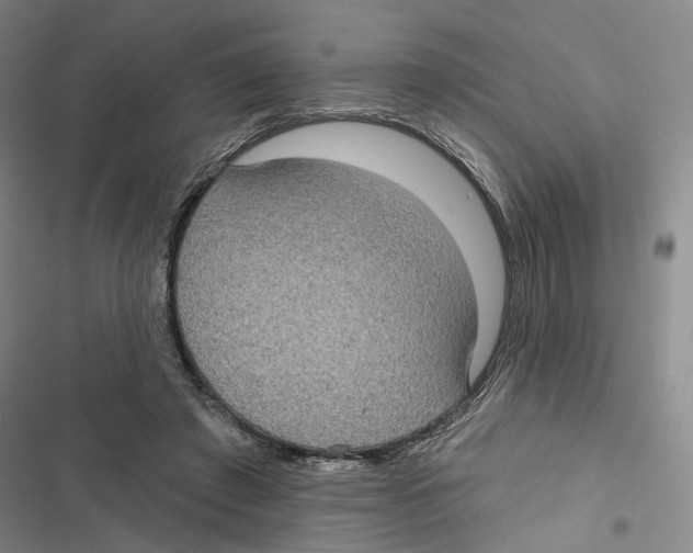 X0000116890401201001191810