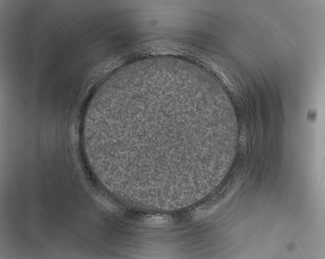 X0000116890402201001191810