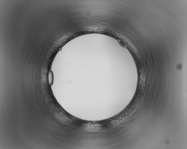 X0000116890403201001191810