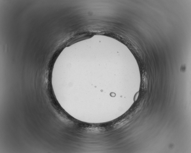 X0000116890404201001191810