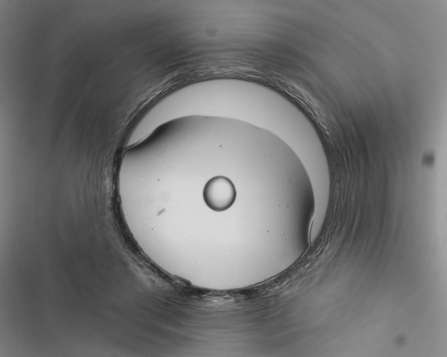 X0000116890405201001191809