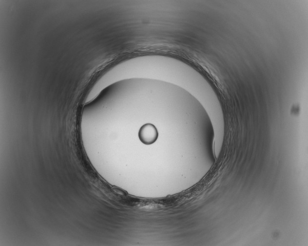 X0000116890407201001191809