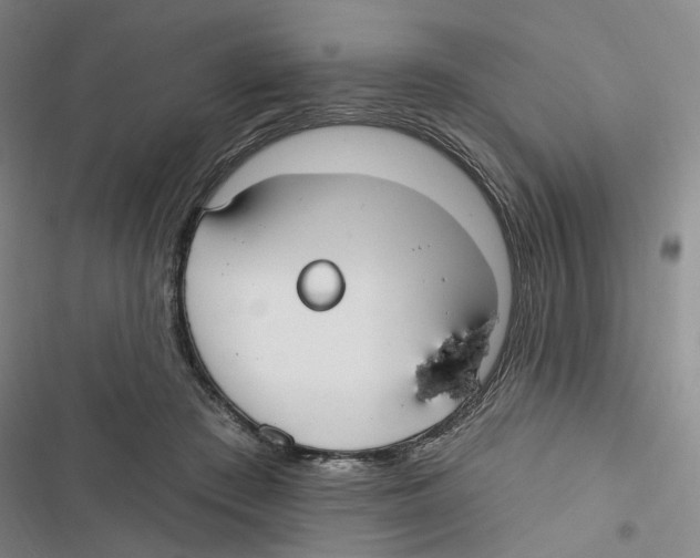 X0000116890409201001191809