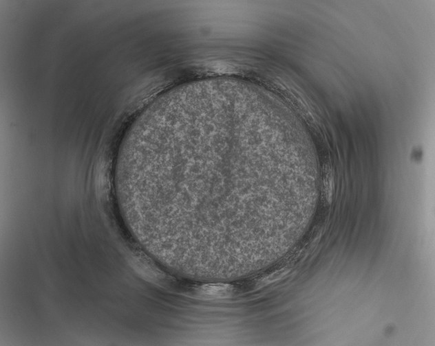 X0000116890410201001191809