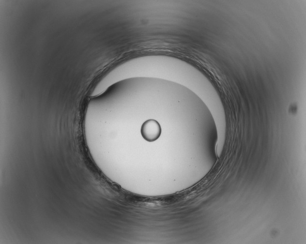 X0000116890411201001191809