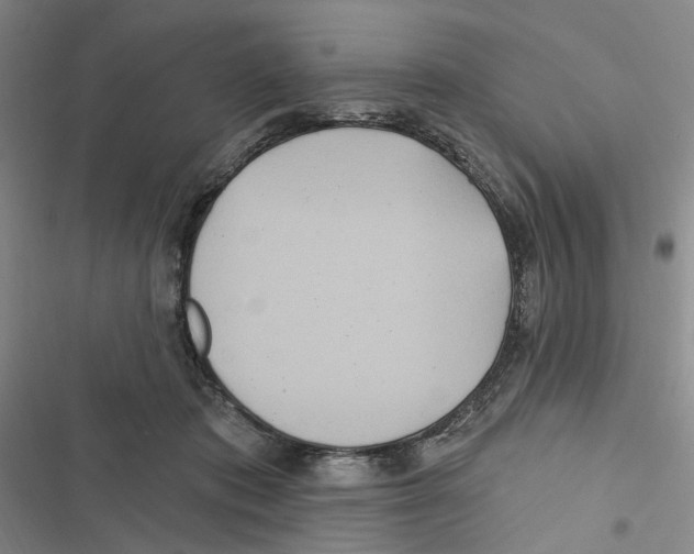 X0000116890413201001191809